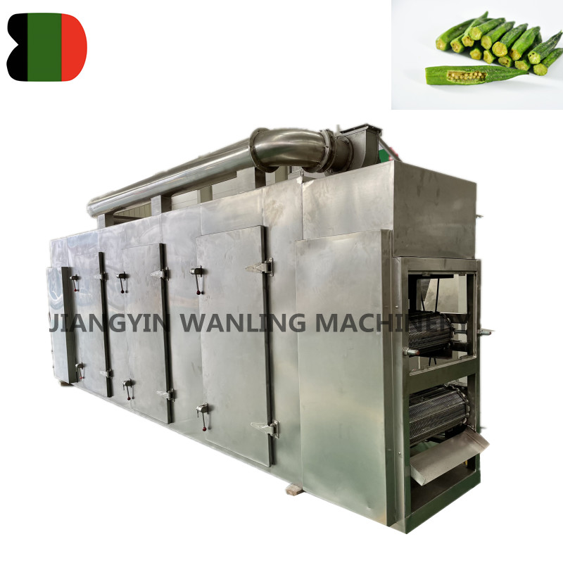 DW Automatic Transeor Mesh Belt Dryer Machine